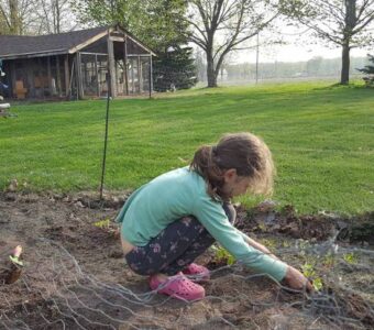Inspiring Children To Appreciate Real Food Image